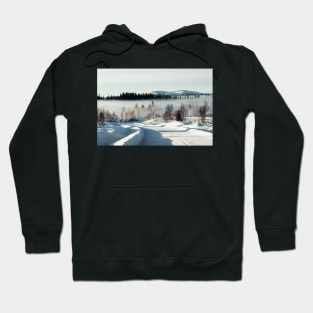 White Winter Landscape With Mysterious Fog on Sunny Day (Norway) Hoodie